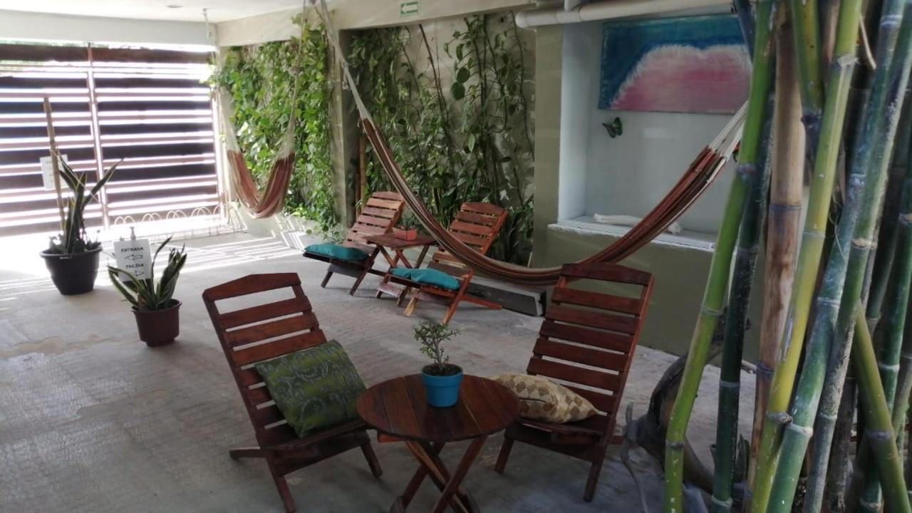 Hostal Jardin Hostel Mahahual Bagian luar foto